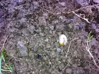 Foto 3.webp