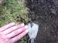 Foto 5.webp