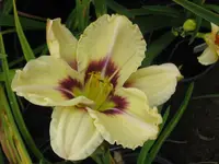 IMG_1159.1_1024x768.webp