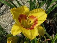 IMG_ab 233_1024x768.webp