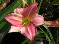 IMG_fragezeichen 23_1024x768.webp