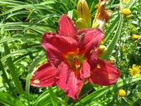 IMG_hem 8_1024x768.webp
