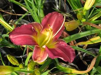 IMG_sä nr.1_1024x768.webp