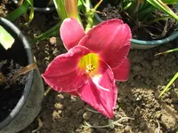 IMG_sä nr. 3 ab_1024x768.webp