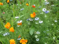 IMG_2344_800x600.webp