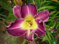 DSCI1568.webp
