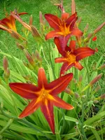 DSCI1569.webp