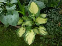 DSC08906.webp