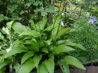 DSC08914.webp