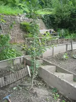 IMG_1748.jpg