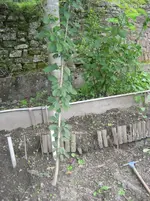 IMG_1749.webp