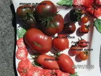 BILD0385.webp