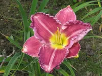 IMG_sä fragez.15_1024x768.webp