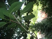 IMG_1771.jpg