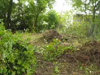 DSCF6059.webp