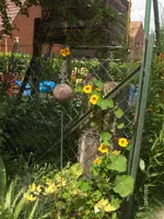 HPIM7962.webp