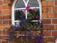 HPIM7991.webp