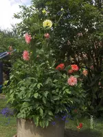 HPIM7961.webp