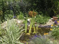 HPIM7959.webp