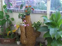 HPIM7955.webp