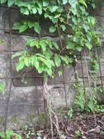 IMG_1759.webp
