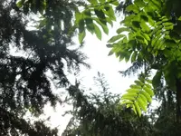 045.webp