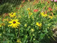 2012_0722garten120003.webp