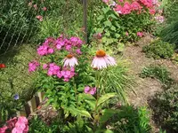2012_0722garten120004.webp