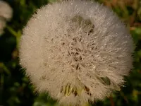DSCN0502.webp