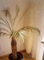 2012-07-23 09.41.05.webp