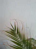 2012-07-23 09.41.46.webp