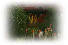 IMG_0986.webp