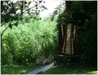 sichtschutz 12.webp