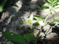 CIMG1163.webp