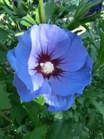 CIMG0815.webp