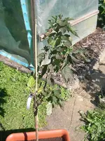SANY0055_k.webp