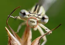 IMG_1604 - Kopie.webp