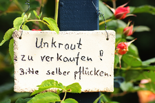 Unkraut zu verkaufen_smaller.webp
