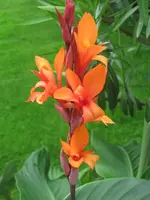 001.webp