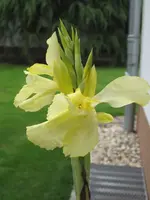 002.webp