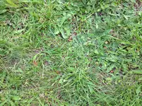 Foto 1.webp Foto 1.webp