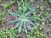 Foto 4.webp Foto 4.webp