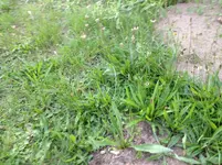 Foto 5.webp Foto 5.webp