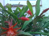 WP_000134.webp