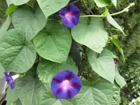 074.webp
