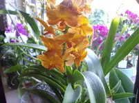 IMGP5469.webp