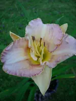 DSCI1585.webp