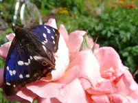 SN854142.webp