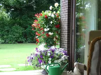 DSC00309.webp