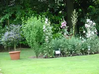 Neuer Rasen 009.webp